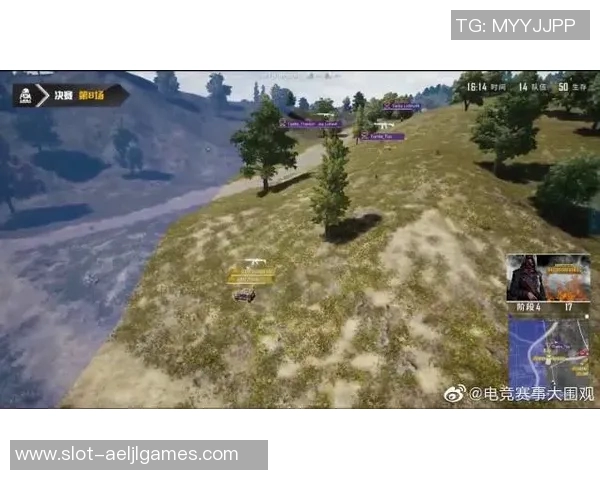 英雄联盟赛场FPX包夹战术分析及其成败得失探讨 英雄联盟赛场FPX包夹战术分析及其成败得失探讨